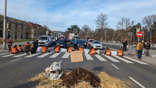 Together with a pile of dung, which according to activists is supposed to represent Austria's climate policy, the Last Generation paralyzed traffic in front of Schönbrunn Palace on Tuesday. (Bild: Letzte Generation AT)