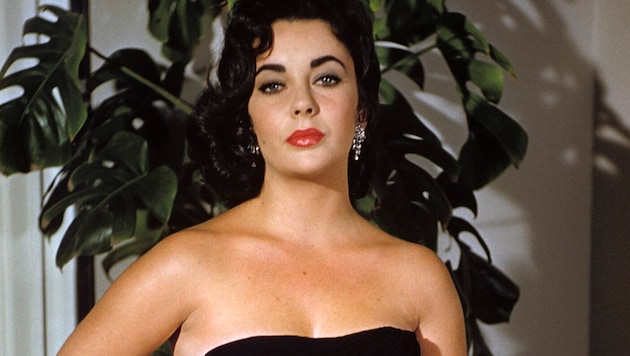 Zum 92. Geburtstag von Elizabeth Taylor kommt jetzt eine Modekollektion auf den Markt. (Bild: 1978 Sanford Roth / mptv / picturedesk.com)