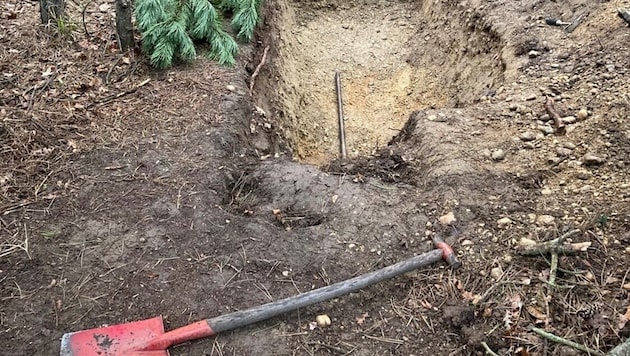 Eine Zeugin beobachtete zwei Männer, wie sie diese Grube im Wald ausgegraben haben.  (Bild: LPD NÖ)
