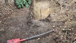 Eine Zeugin beobachtete zwei Männer, wie sie diese Grube im Wald ausgegraben haben.  (Bild: LPD NÖ)