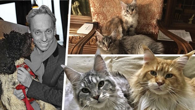 Volker Grohskopfot mindössze 58 éves korában túl korán szakította ki az életből a sors. Négy Maine Coon macskájának sürgősen új gazdát keresnek. (Bild: privat Krone KREATIV,)