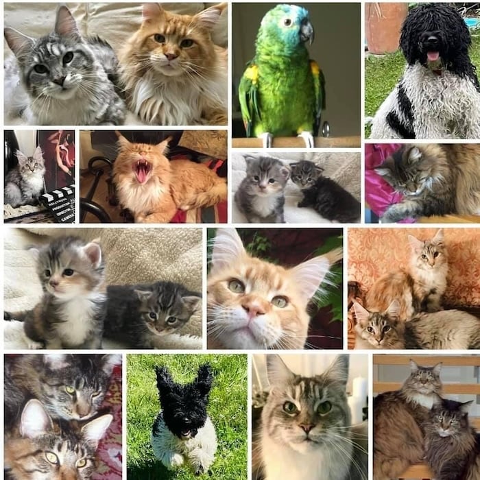 For Volker Grohskopf, his animals were an important balance to his hectic show business.