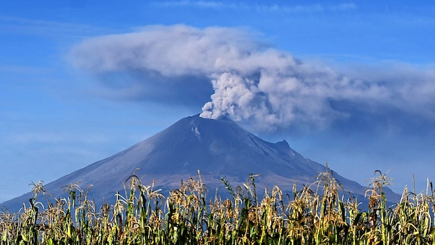 Restless Popocatépetl: 77 eruptions in 24 hours again recently (Bild: APA/AFP/ALFREDO ESTRELLA)