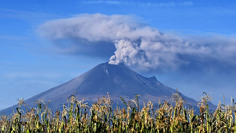 Unruhiger Popocatépetl: Zuletzt wieder 77 Ausbrüche in 24 Stunden (Bild: APA/AFP/ALFREDO ESTRELLA)