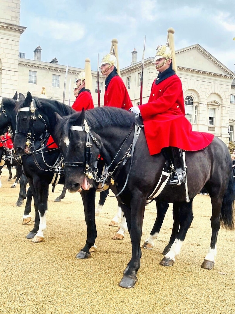 Wachablöse vor dem Buckingham Palace (Bild: Diana Krulei)