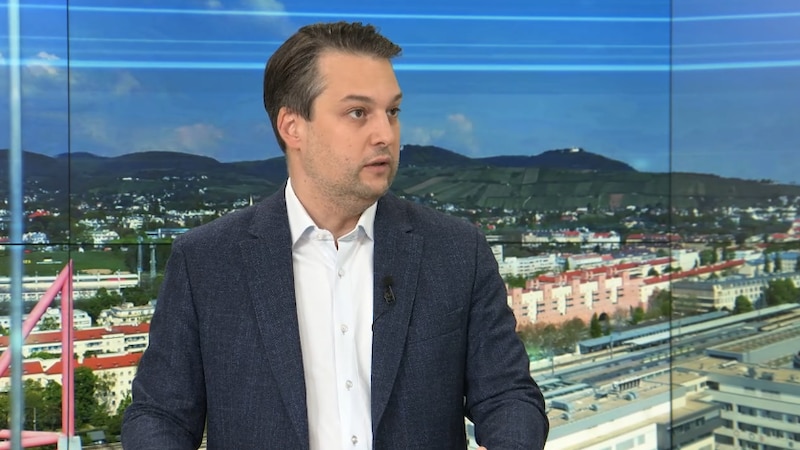 Wiens FPÖ-Chef Dominik Nepp (Bild: krone.tv)