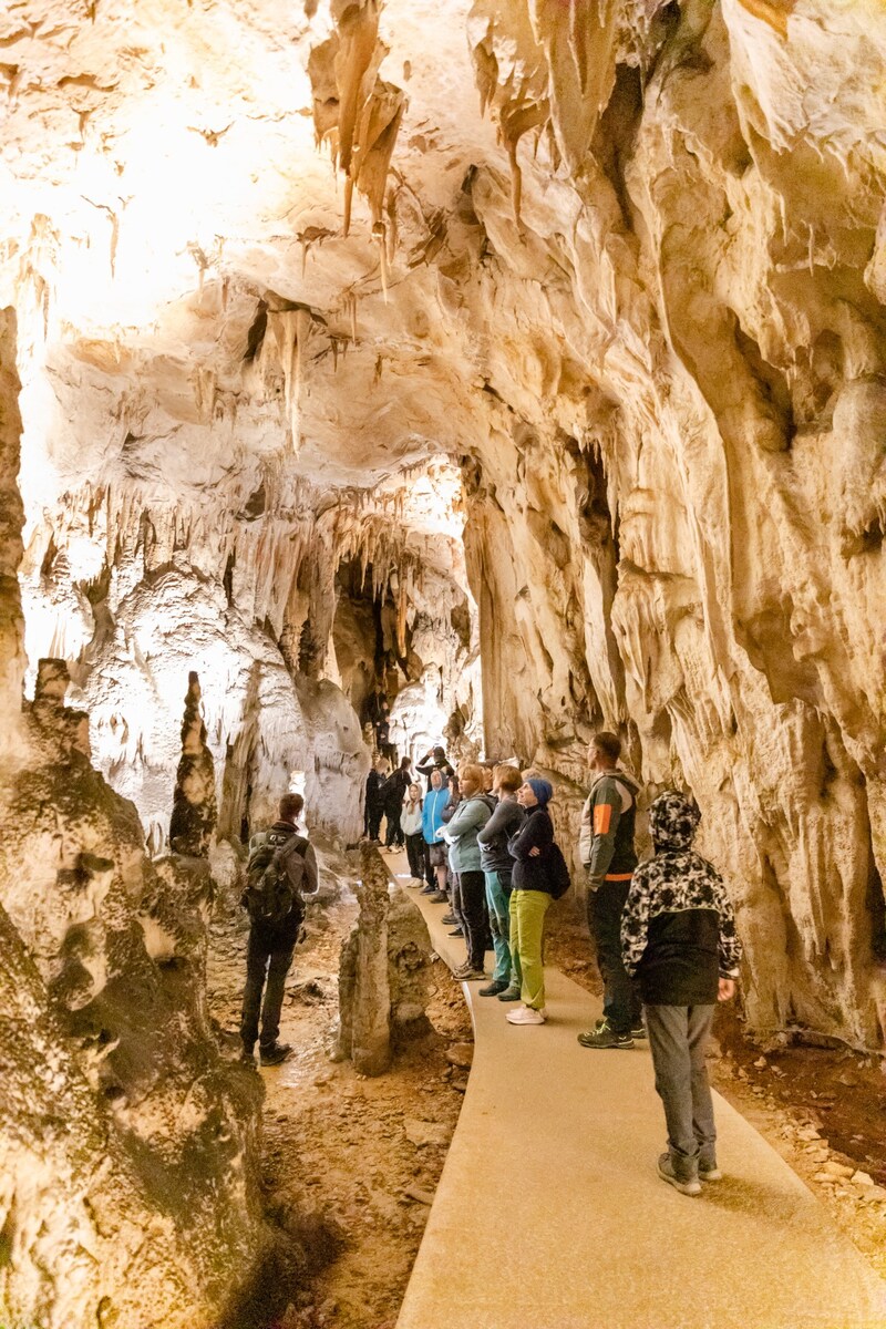 Lassen Sie sich in den Cerovac-Höhlen von den prächtigen Farben und Formen der Stalaktiten und Stalagmiten überraschen, während Sie auf den Pfaden spazieren, auf denen schon Höhlenbären in der Vorgeschichte gingen! (Bild: Jacqueline Izidora Cirjak)
