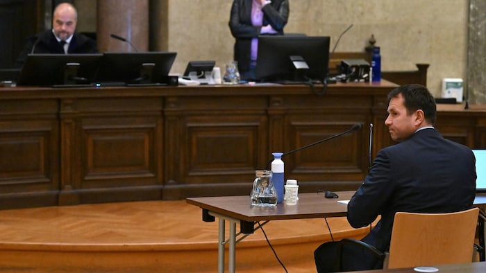 Judge Michael Radasztics conducted the trial with aplomb, but concealed his disciplinary ...