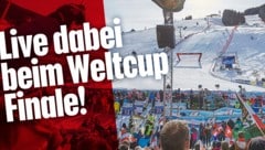 (Bild: saalbach.com, Daniel Roos)