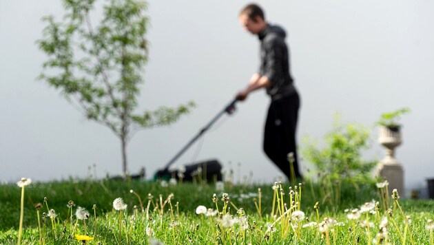 Possible non-profit activities include snow clearing and lawn mowing. (Bild: Richard - stock.adobe.com)