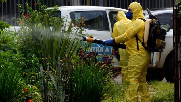 Rainfall and high temperatures fuel the spread of dengue fever in Brazil. (Bild: AP)