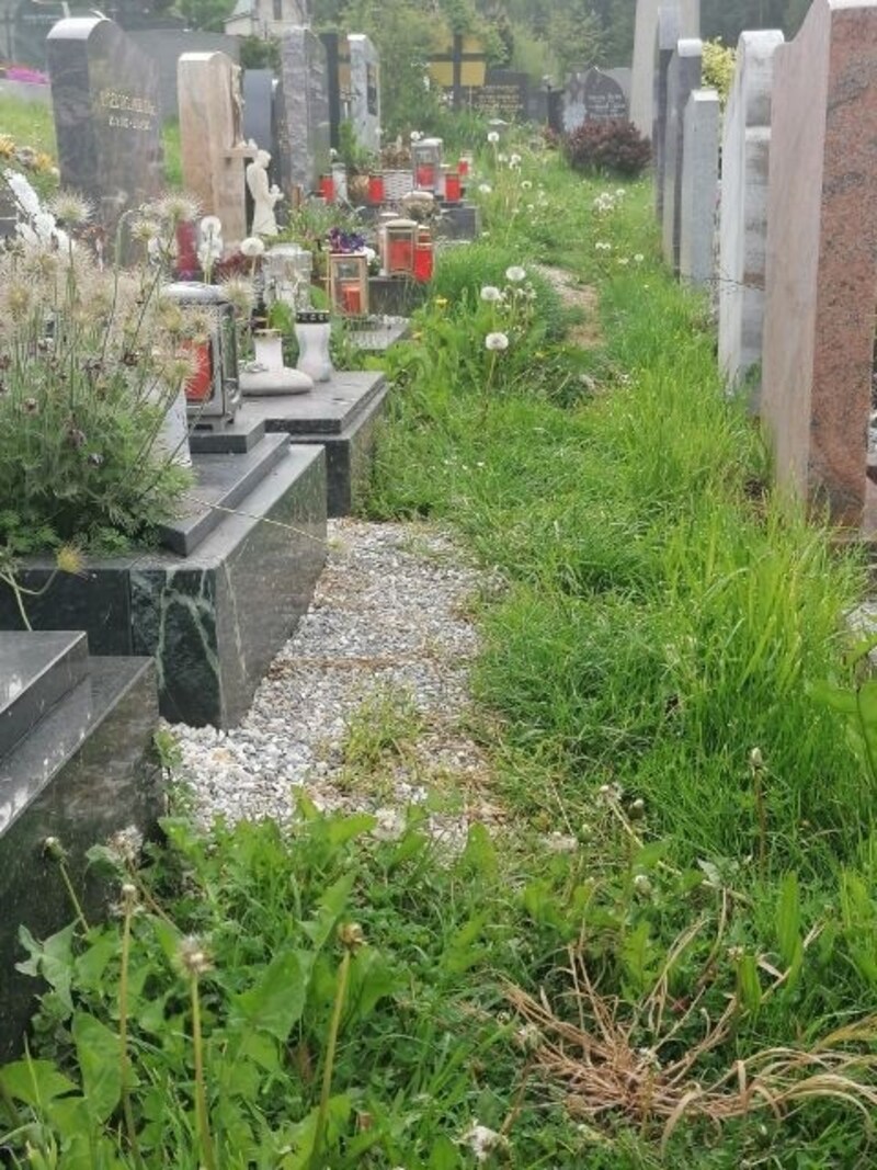 Beaten path at the urn cemetery (Bild: ZVG)