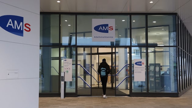 More and more people are applying to the AMS. (Bild: Karl Schöndorfer TOPPRESS)