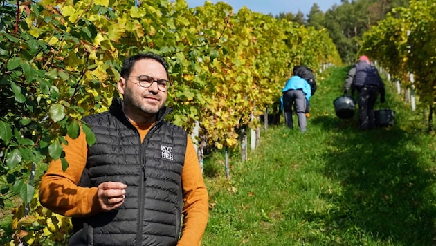 Weinbau-Präsident Stefan Potzinger auf seinem Weingut in der Südsteiermark. Hinter ihm wird fleißig geerntet. (Bild: Sepp Pail)