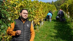 Weinbau-Präsident Stefan Potzinger auf seinem Weingut in der Südsteiermark. Hinter ihm wird fleißig geerntet. (Bild: Sepp Pail)