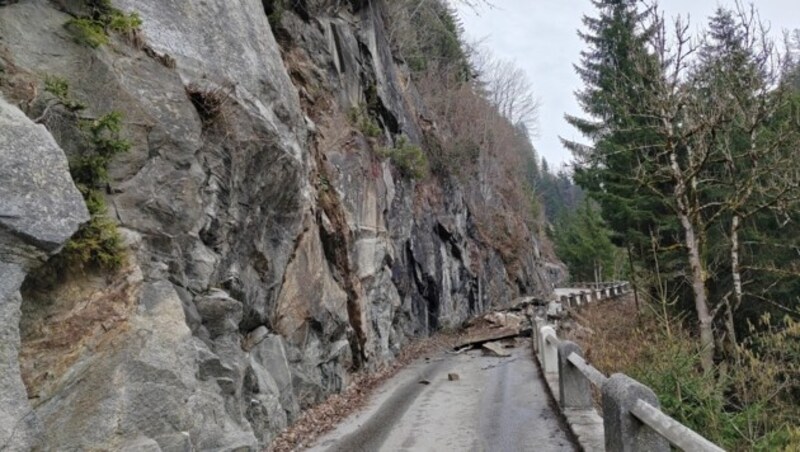 (Bild: zoom.tirol)