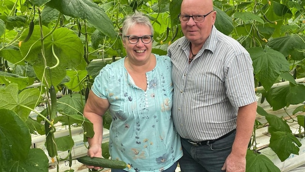 Gerlinde and Richard Ulrich with their cucumbers. They were planted later than last year, but are already ripe. (Bild: Charlotte Titz)