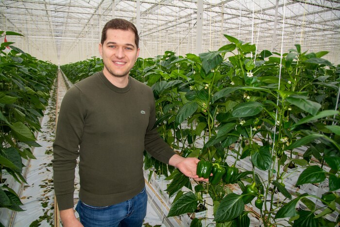 Patrick Haider von Perlinger Gemüse ist mit der Ware zufrieden. Paprika gibt es schon länger, ...