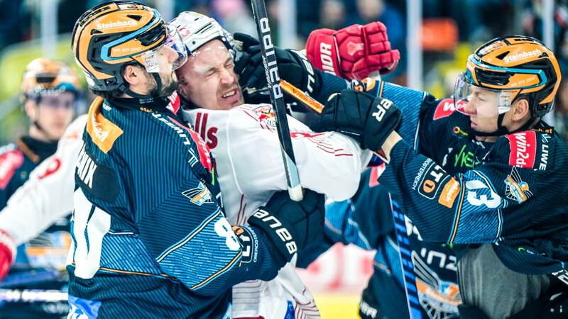 Linz is not a pleasant opponent for Salzburg (Bild: GEPA pictures)