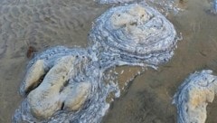 Bei einem Strandspaziergang hat eine Britin in der englischen Kleinstadt Bexhill acht versteinerte Dinosaurier-Fußabdrücke entdeckt. (Bild: kameraOne (Screenshot))