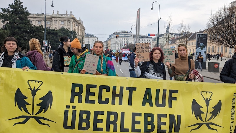 Auch Anja Windl war bei dem Protest am Museumsplatz wieder mit dabei.  (Bild: Letzte Generation AT)