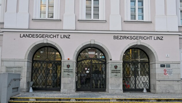 Am Montag muss die diebische Elster in Linz vor Gericht (Bild: Dostal Harald)