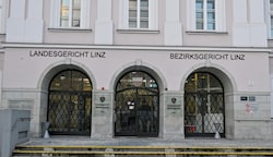 Am Montag muss die diebische Elster in Linz vor Gericht (Bild: Dostal Harald)