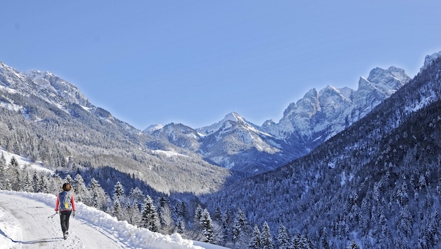 Das Kaisertal ist einer der idyllischsten Flecken in Tirol. Doch es gibt Probleme mit Wild und Wald. (Bild: Peter Freiberger)