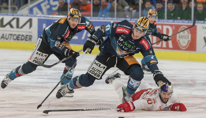 Linz (Feldner und Knott) ist gegen die Bulls (Nissner) klarer Außenseiter. (Bild: Hannes Draxler)