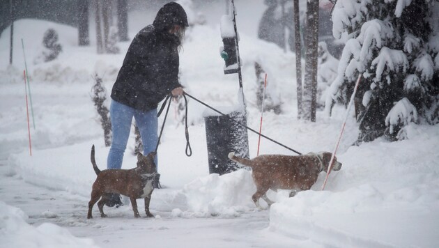 A severe winter storm is currently bringing snowfall to California. (Bild: AP)