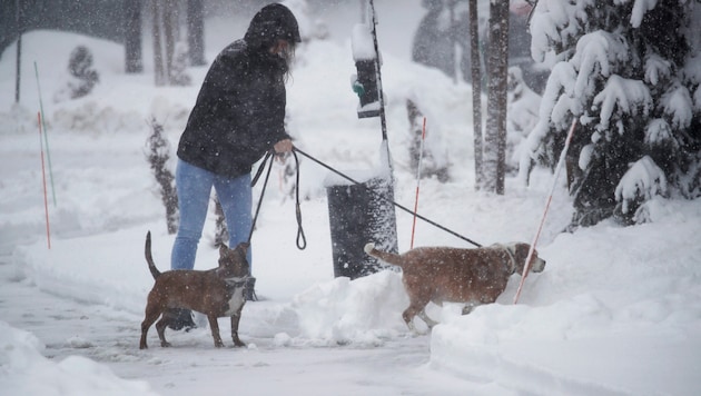 Une violente tempête hivernale provoque actuellement des chutes de neige en Californie. (Bild: AP)