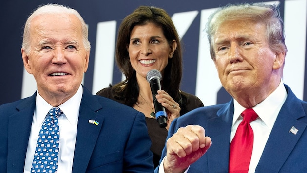 Biden (li.) hat bei Demokraten keinen Gegner, Haley liegt bei den Republikanern hinter Trump (re.).  (Bild: AP (3), Krone KREATIV)