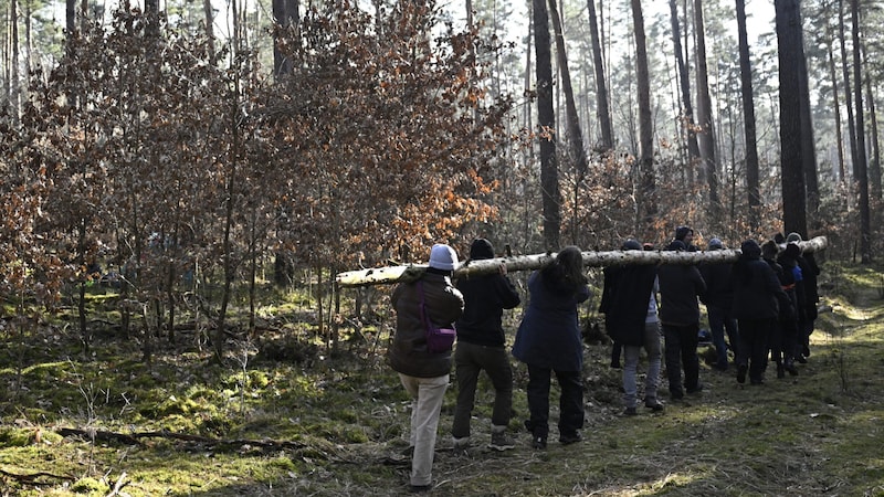 Protest camp in a nearby forest (Bild: AFP)