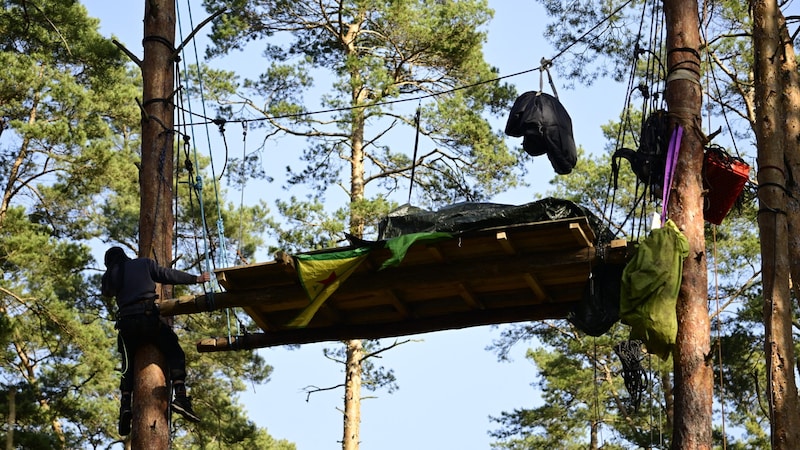 Die Gruppen dürfen maximal 15 Bauten im Wald errichten. (Bild: AFP)