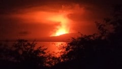 (Bild: Galapagos National Park via AP)