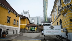 39 Mitarbeiter sind bei der Brauerei Grieskirchen GmbH beschäftigt. (Bild: Markus Wenzel)