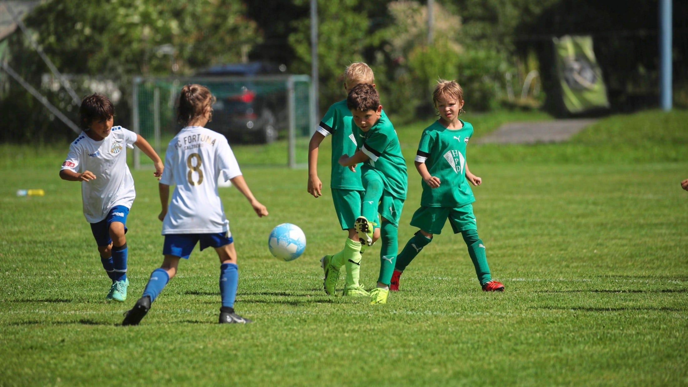 New initiative - Red card for aggression in youth soccer | krone.at