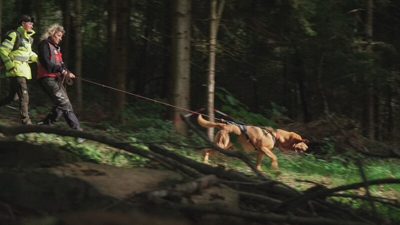 Die menschlichen Tiersucher müssen fit sein. (Bild: K9 Pro/RTL)