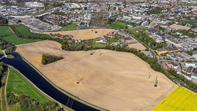 Luftbild der Freifläche südlich der Dallingerstraße. (Bild: PTU Pertlwieser)