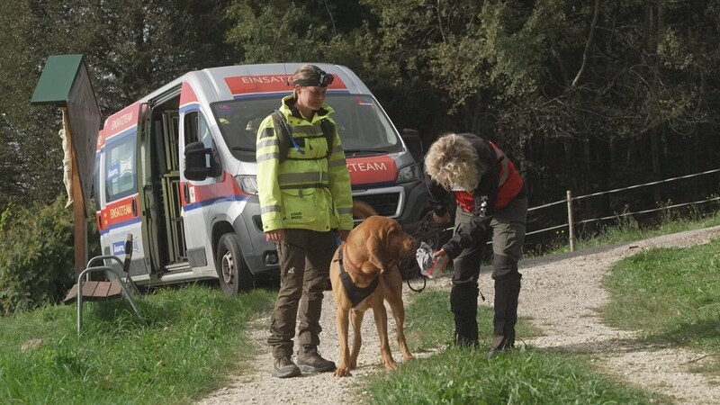 Mit dem Individualgeruch des vermissten Tieres wird gearbeitet. (Bild: K9Pro/RTL)