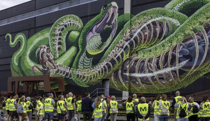 Mural Harbor Linz: Die Schlange sprayte Nychos 2016 auf 900 Quadratmetern.  (Bild: Florian Holter)