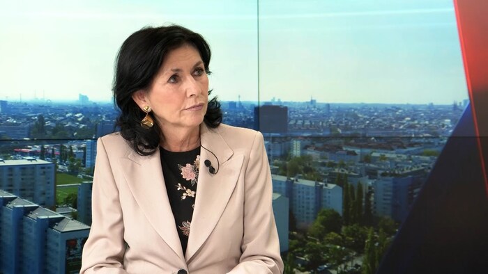 Journalist and former director of the Vienna Jewish Museum, Danielle Spera, in an interview with krone.tv.