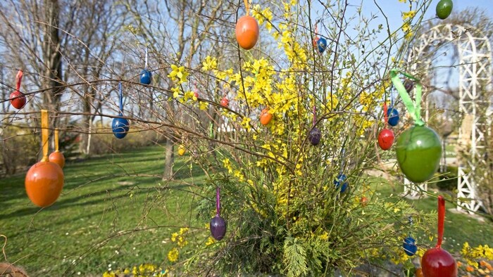 Ganze 70.000 Frühlingsblumen wollen in den Blumengärten bestaunt werden.
