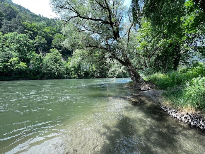 Der Mur-Abschnitt in Stübing ist Heimat für Huchen und andere Fischarten.