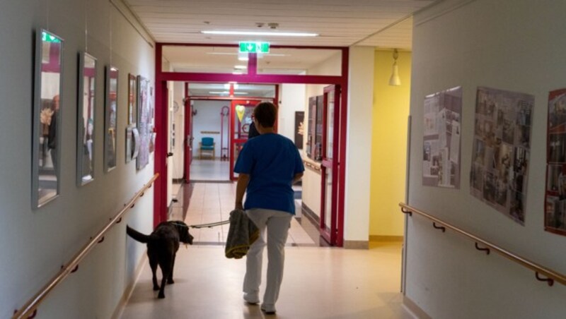 Ein Einsatz dauert bis zu 40 Minuten. Das ist anstrengend für den Hund. Dann braucht er etwas Ruhe. (Bild: Charlotte Titz)