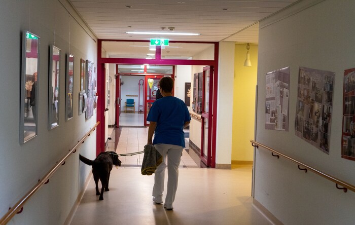 Ein Einsatz dauert bis zu 40 Minuten. Das ist anstrengend für den Hund. Dann braucht er etwas Ruhe. 