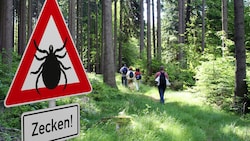 Wer derzeit auf Wiesen und in Wäldern unterwegs ist, sollte vorsichtig sein. (Bild: Heiko Barth – stock.adobe.com)