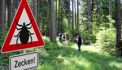 In Österreich gab es bis zum Vorjahr kein flächendeckendes Zecken-Monitoring. Im Projekt ...
