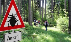 Vor einem Ausflug ins Grüne empfiehlt sich ein Blick in den Impfpass.
