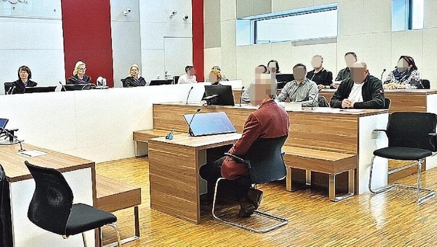 During the trial, the defendant made some bizarre excuses. (Bild: HS, Krone KREATIV)